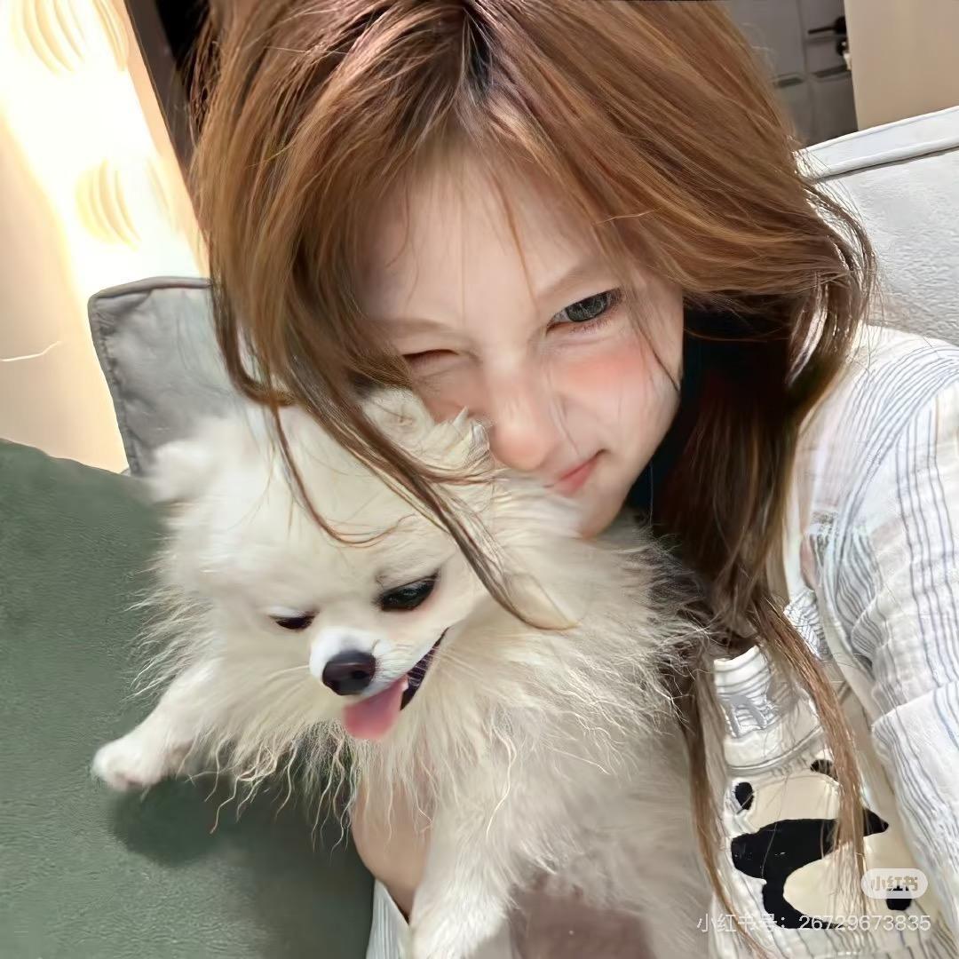 社恐的小美🫡