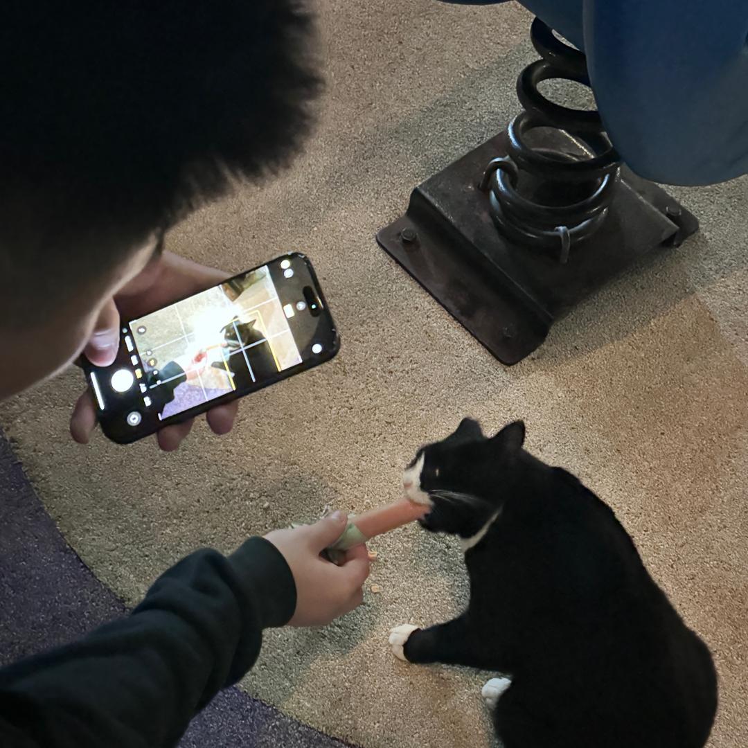 冰美式