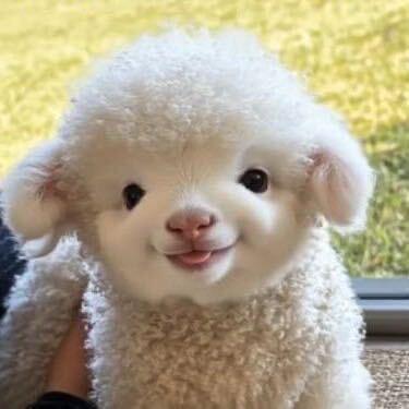 用明天换你靠近我