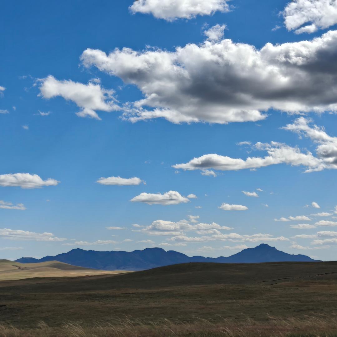 君君（努力上岸版）