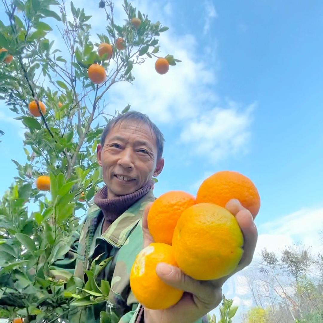 农村人老六