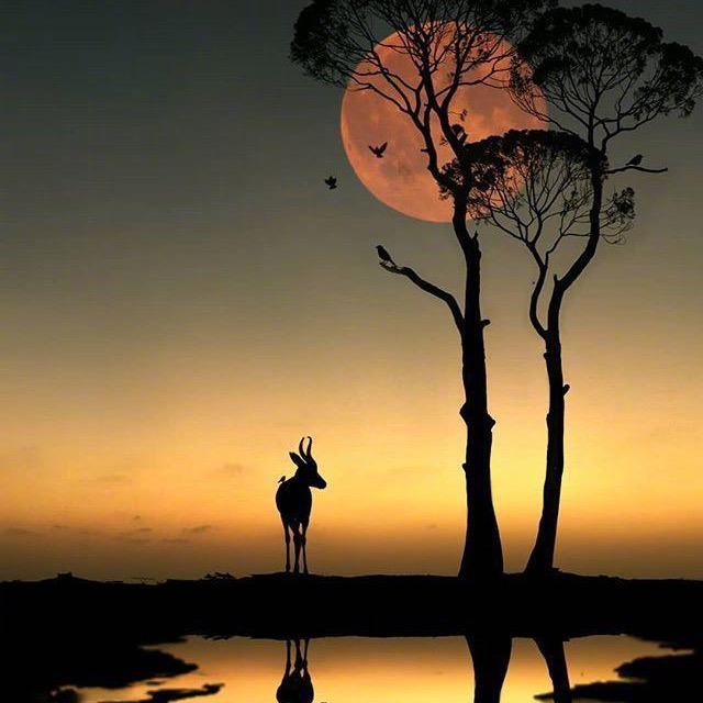 风风风@浪迹天涯