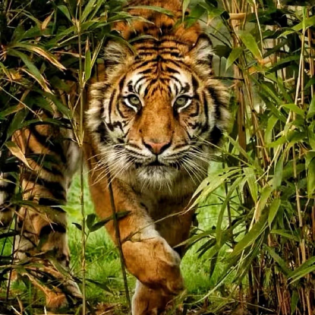 🚬ཀོ半根烟 ꦿ҉࿐