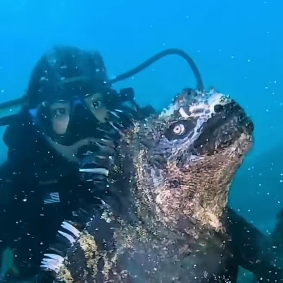 🌈海底总动员小鱼人🧜🏻‍♀️