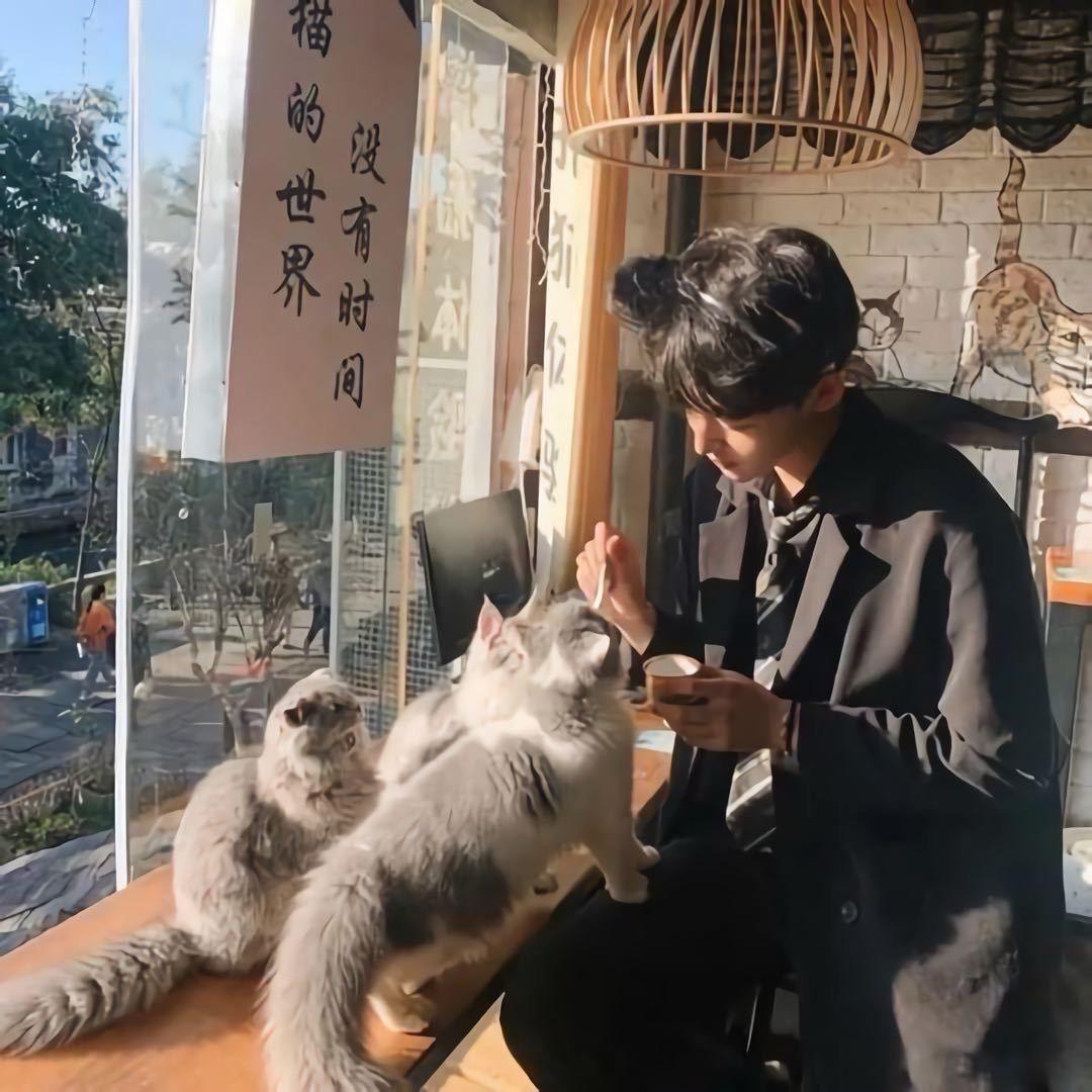 黑羽ɞ