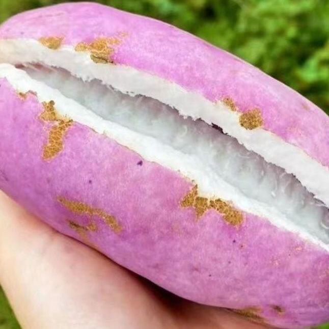 烧火老者特产店
