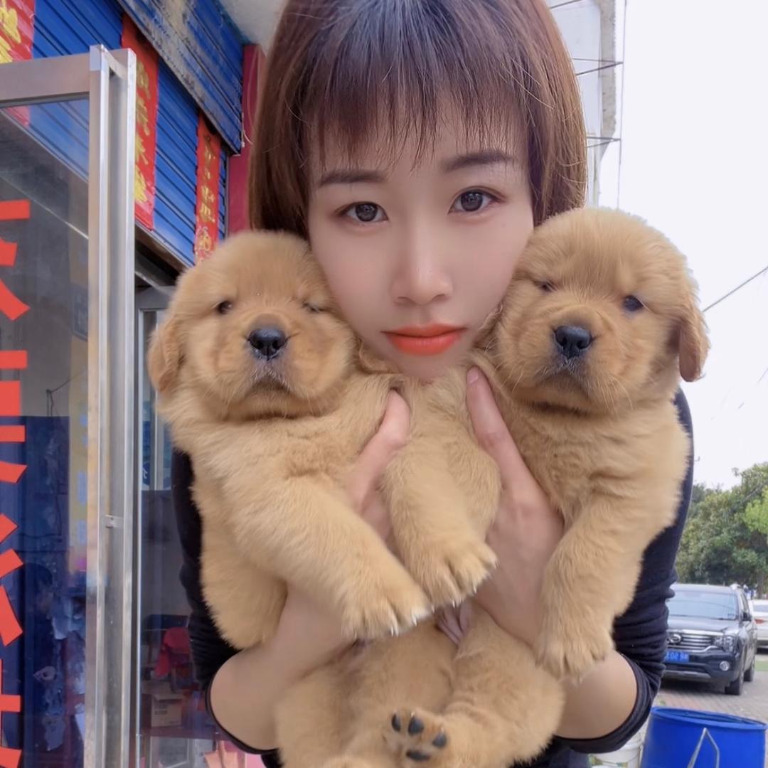 唐河养宠物的小姐姐（自家养殖）