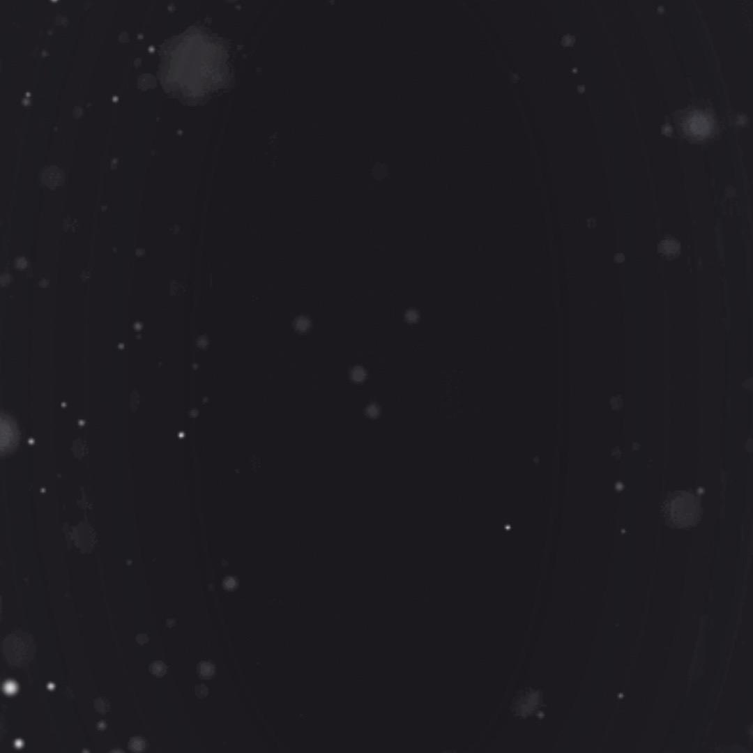 Lea大芯