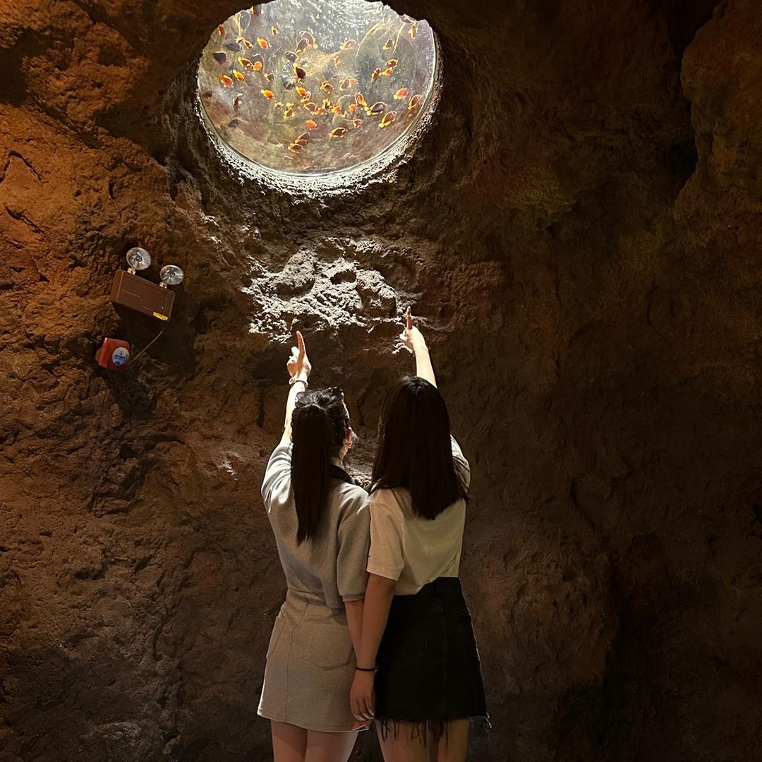 姐的温柔@你不懂