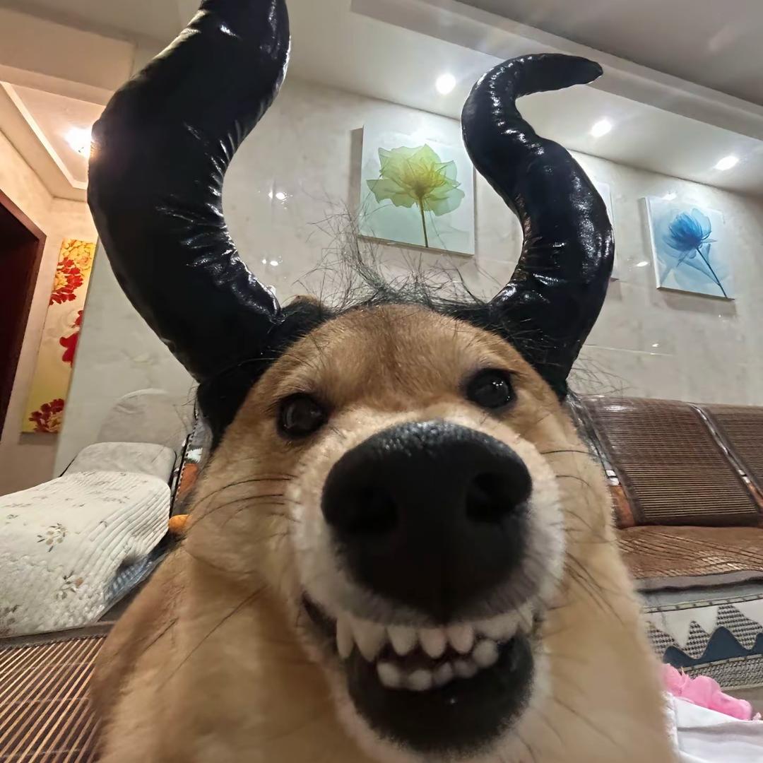 🥩牛肉面不要面