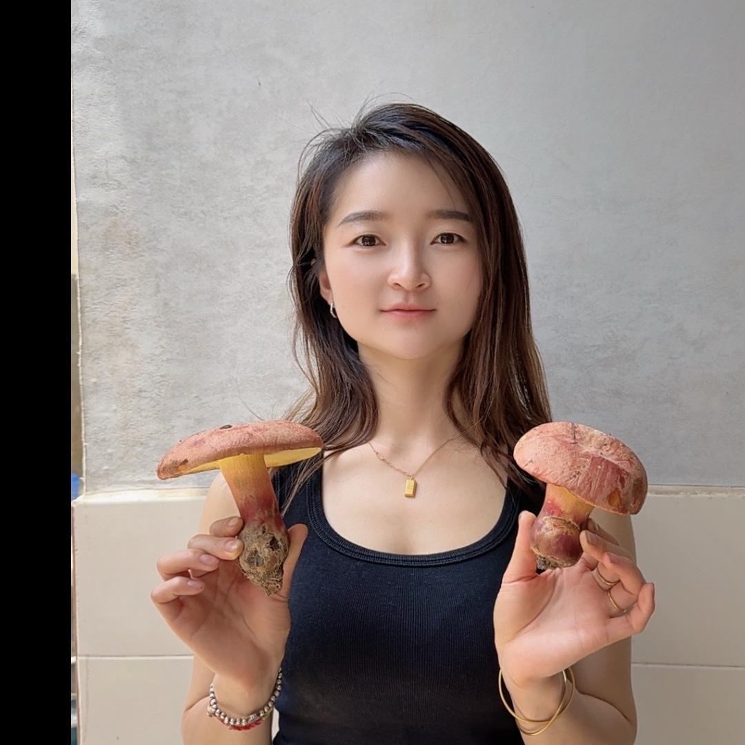 临沧耀升野生菌李红萍