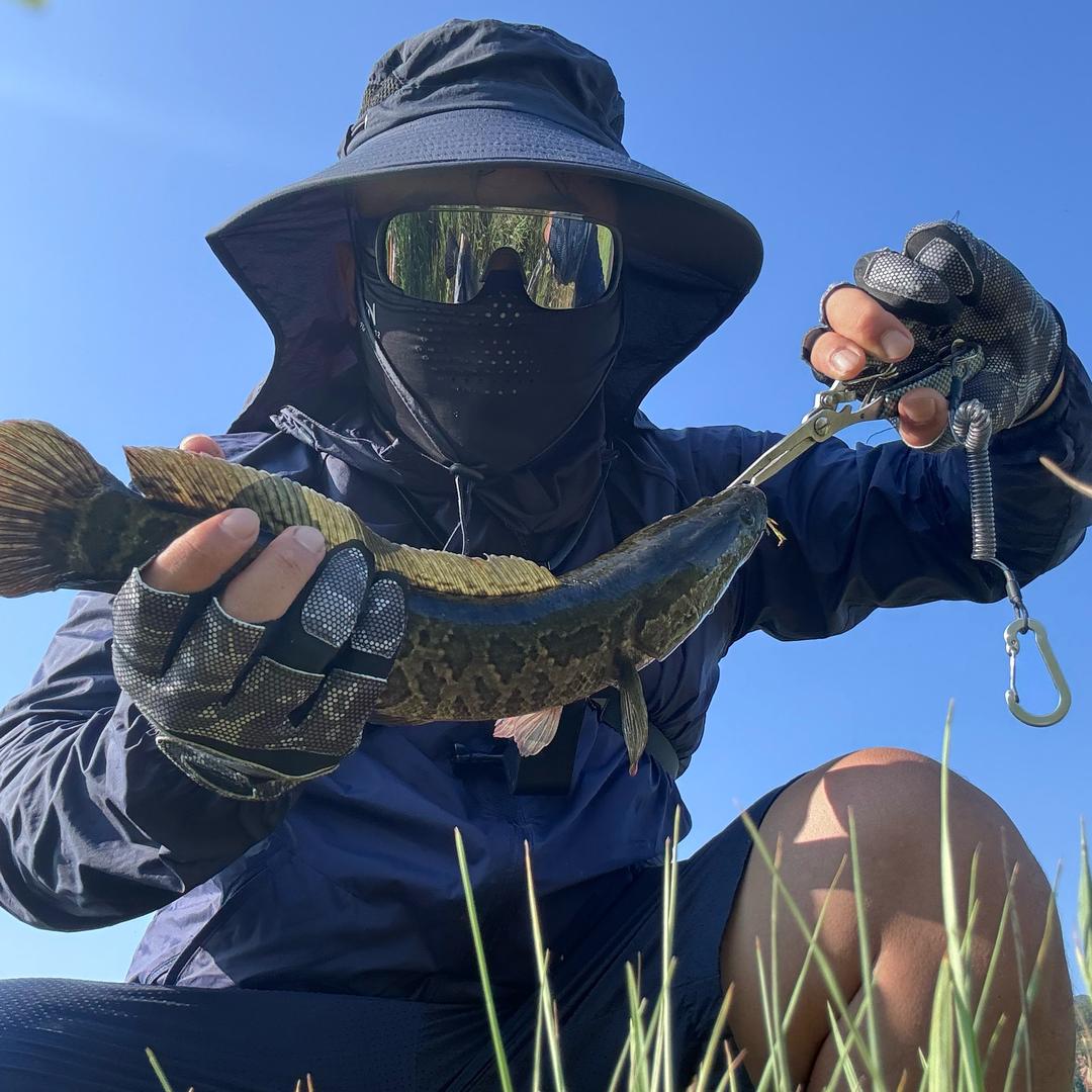 阿楠爱钓鱼🎣