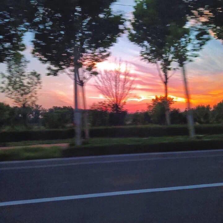 今生陪伴