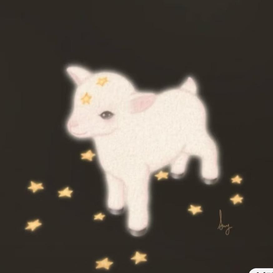 雨夹雪也可以