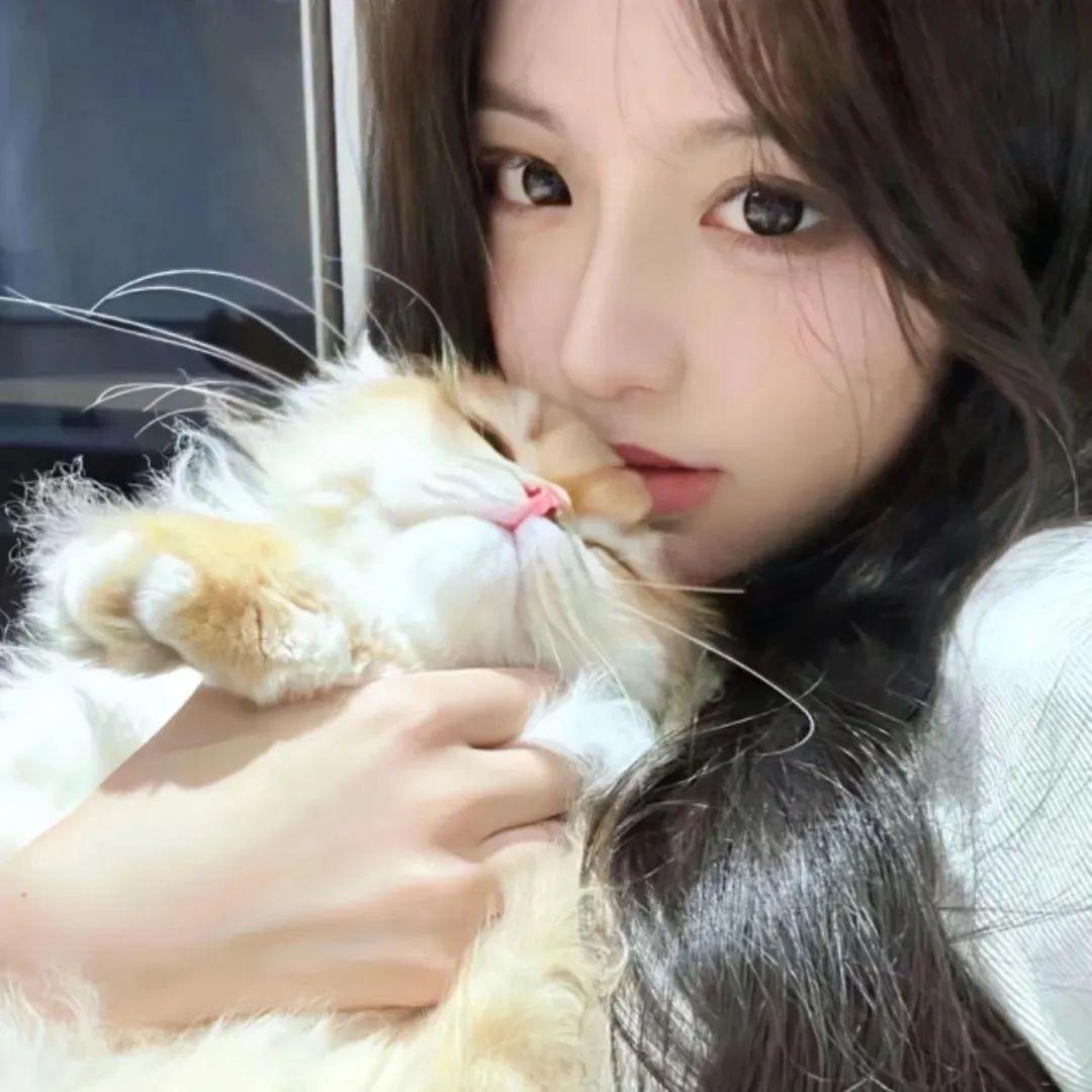 香菜味的猫