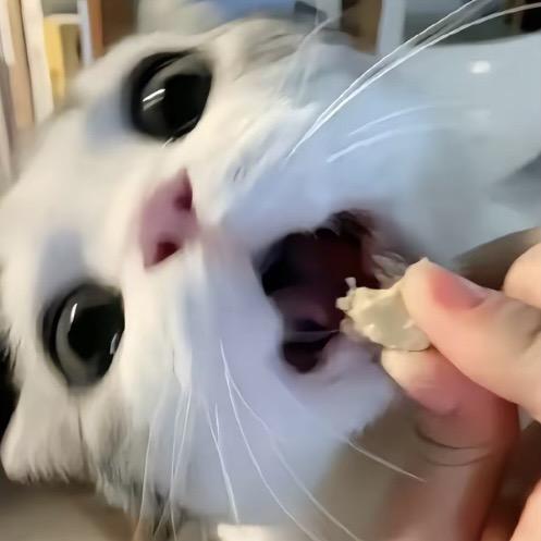 ^_^