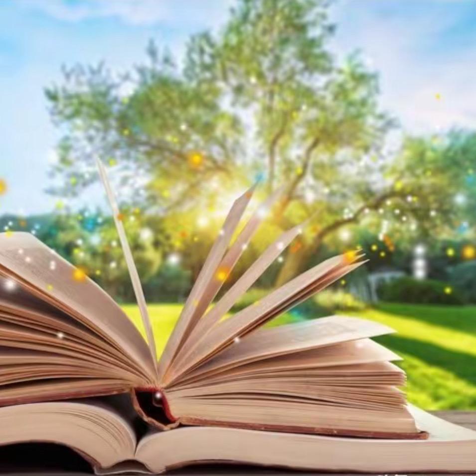 沪上财务小孙爱阅读