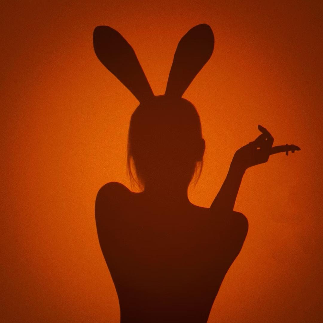 甜语-专做甜蜜大码贴身睡衣