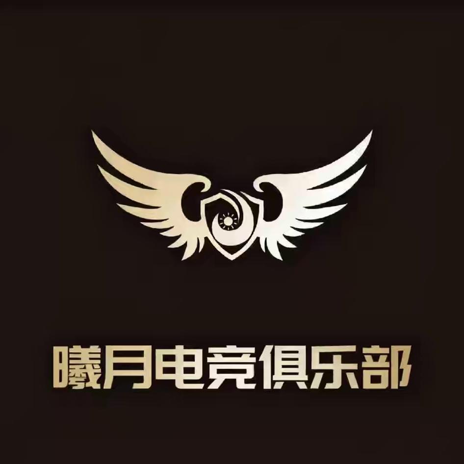 南阳市高新区曦月电竞网络工作室（个体工商户）