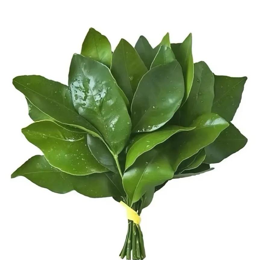 karen¥