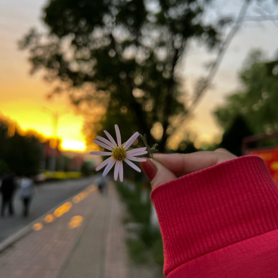 三营六组白面葫芦娃[抱拳]