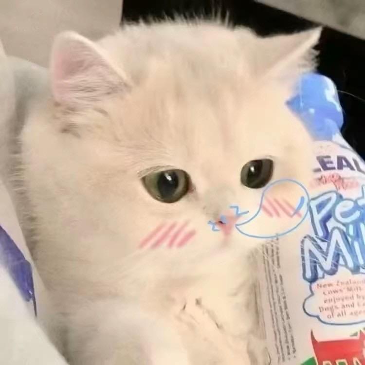 Y  .