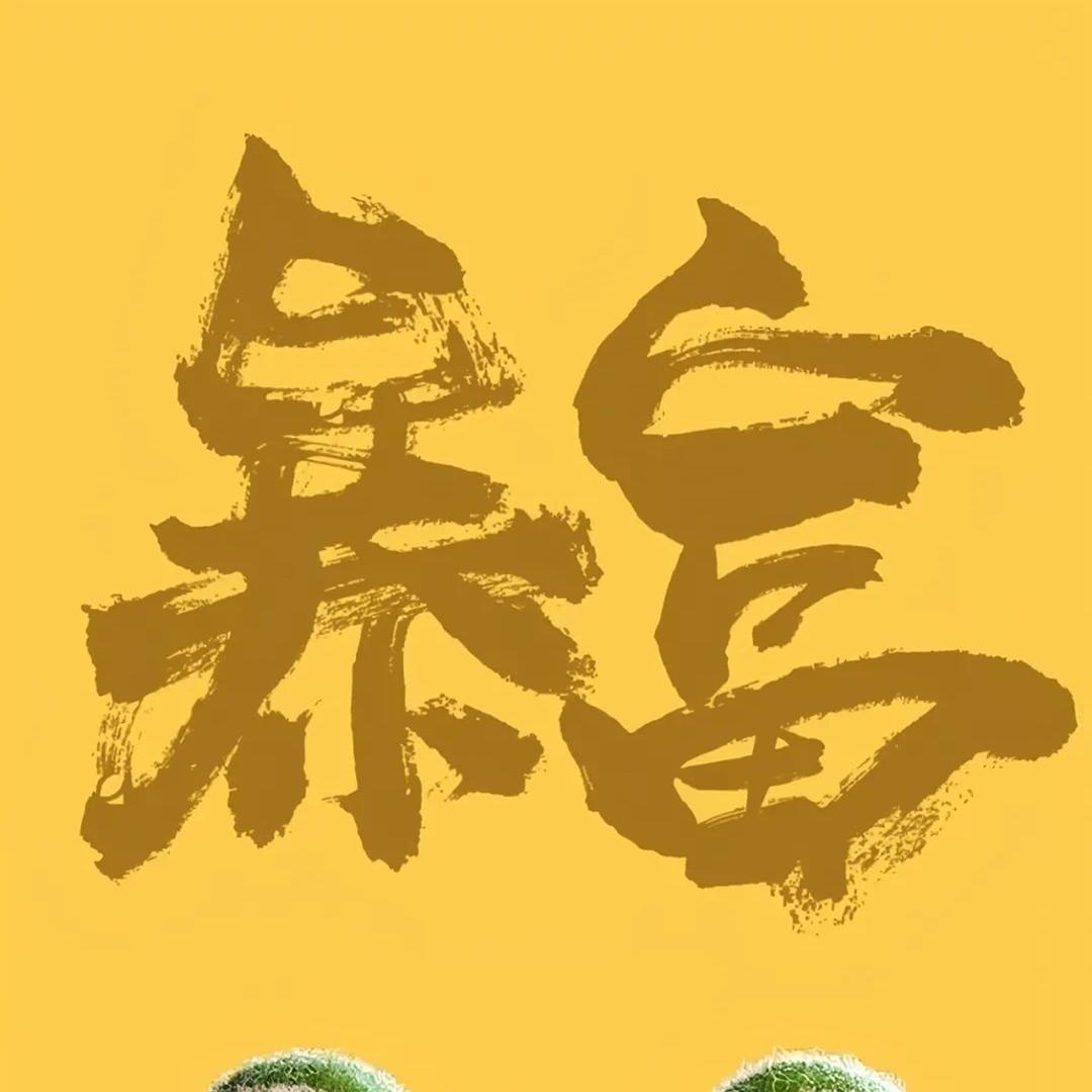 菲姐（生活日常）