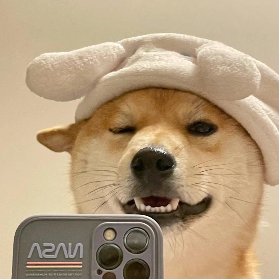 土豆教教主🥔