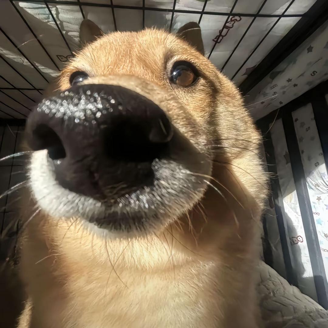 안녕하세요77头像