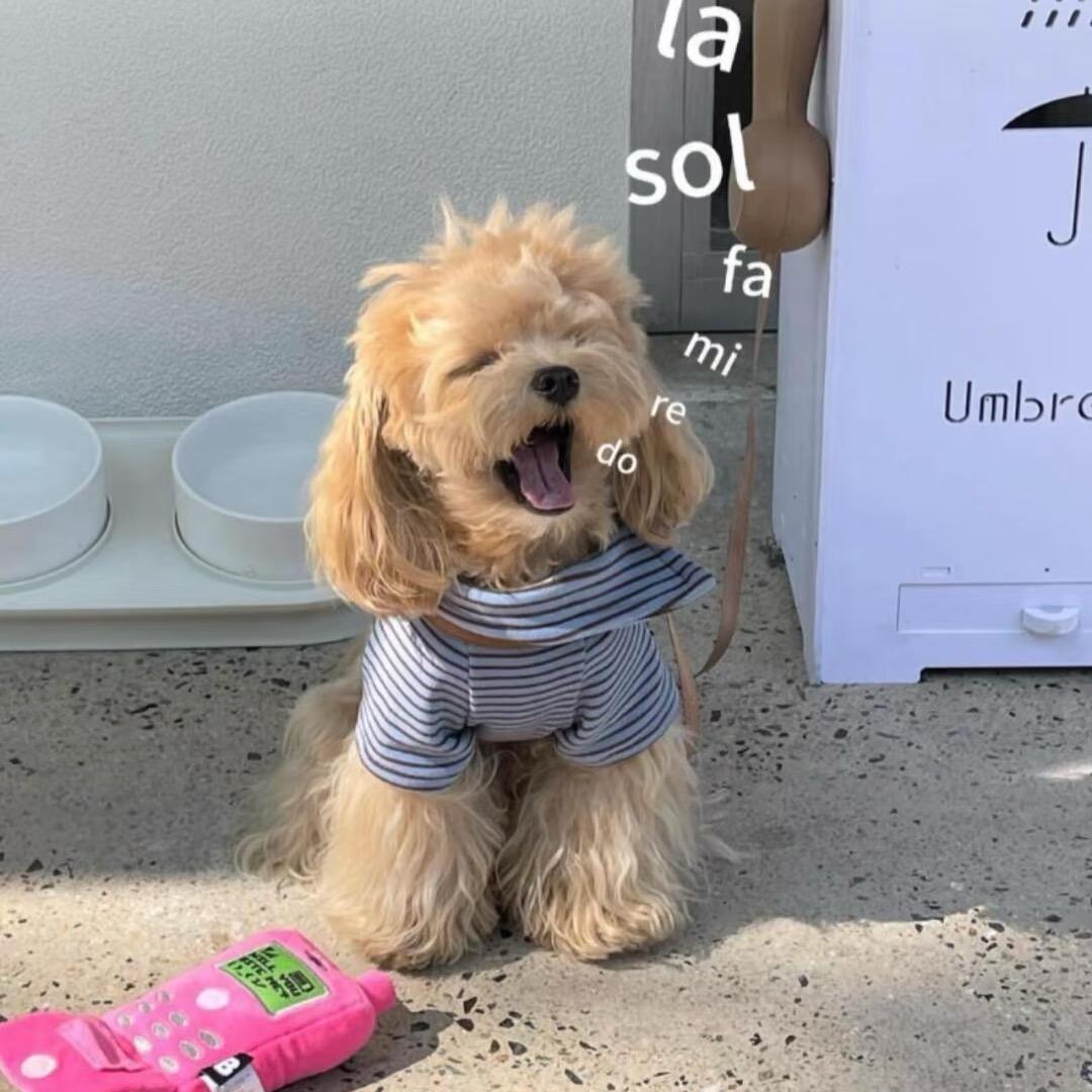 不是蛋挞🧸