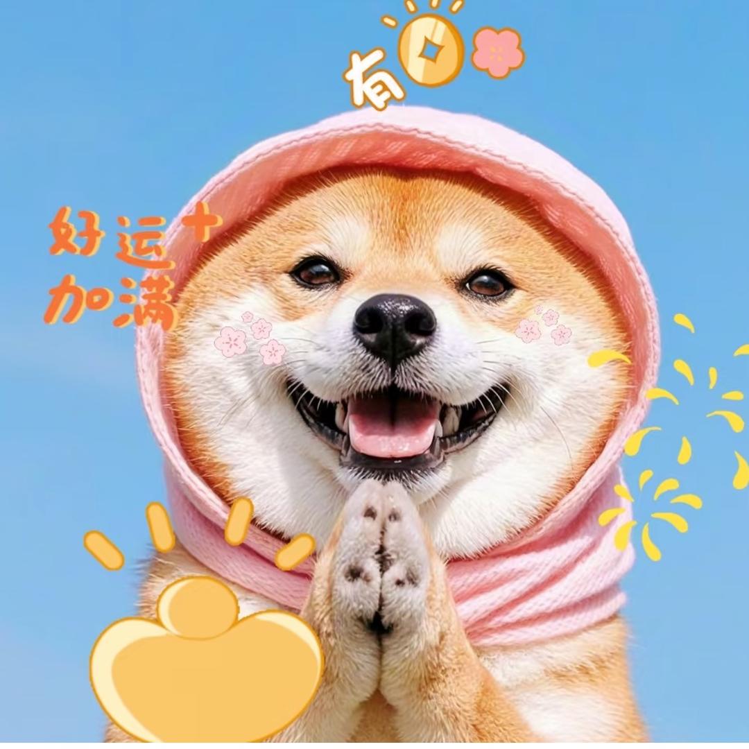 圆嘟嘟🙉