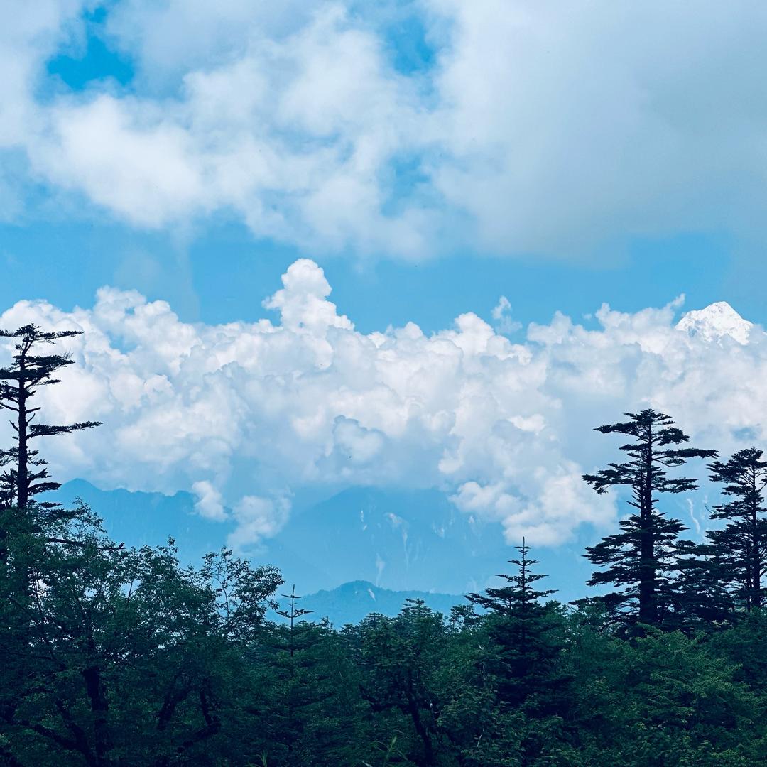 名字长了记不住