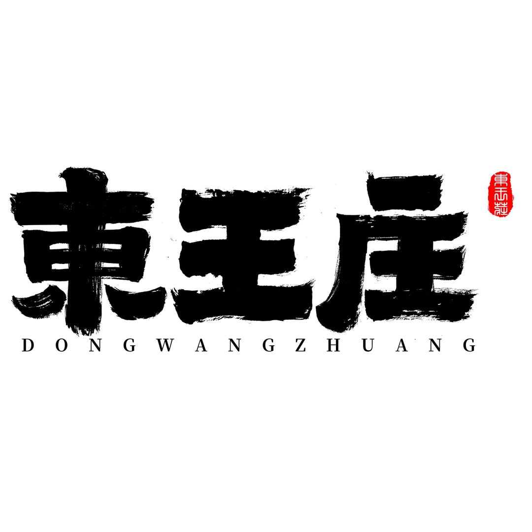 村书记王有军