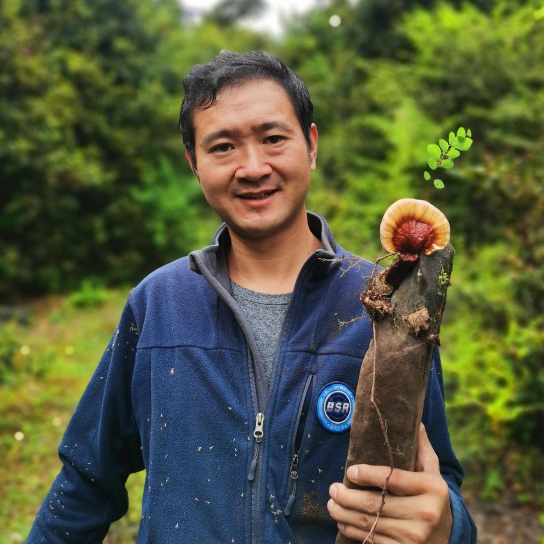 木白滋补养生专营店
