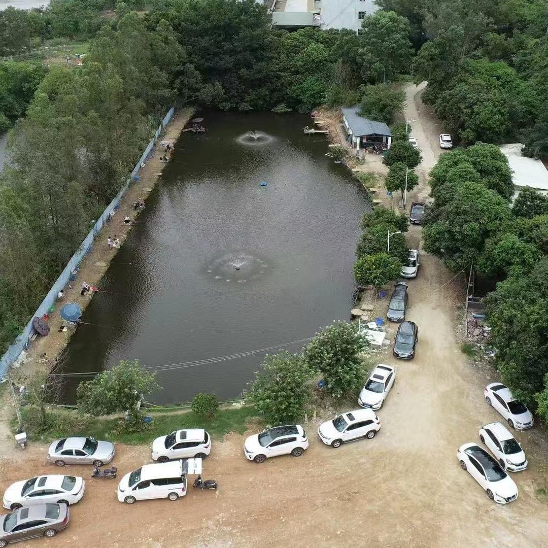 惠州市-11生态钓鱼场