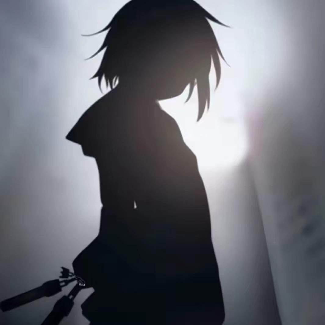 晚风🖤（收藏家）