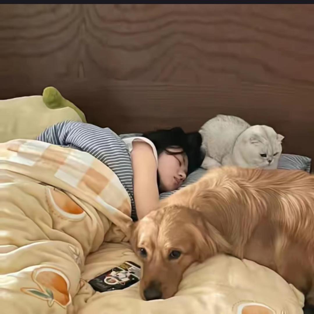 恋猫趣