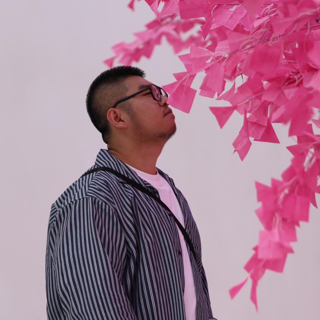 冬了个冬dongdong