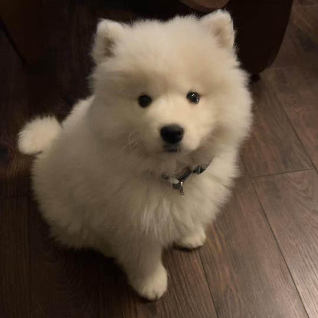 Aiden