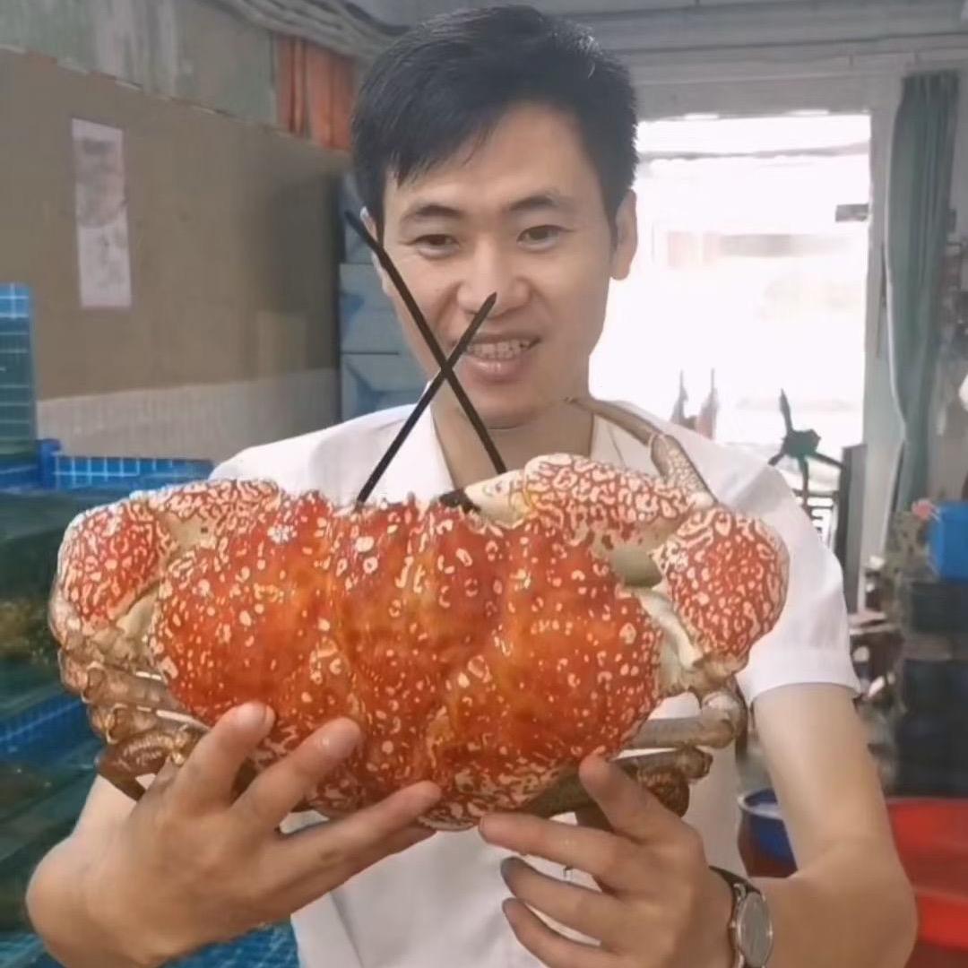 沈青｜小熊熊海鲜暂养培训