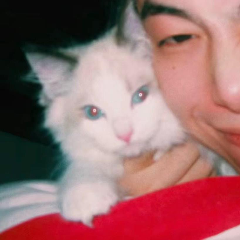 爱吃炸鸡