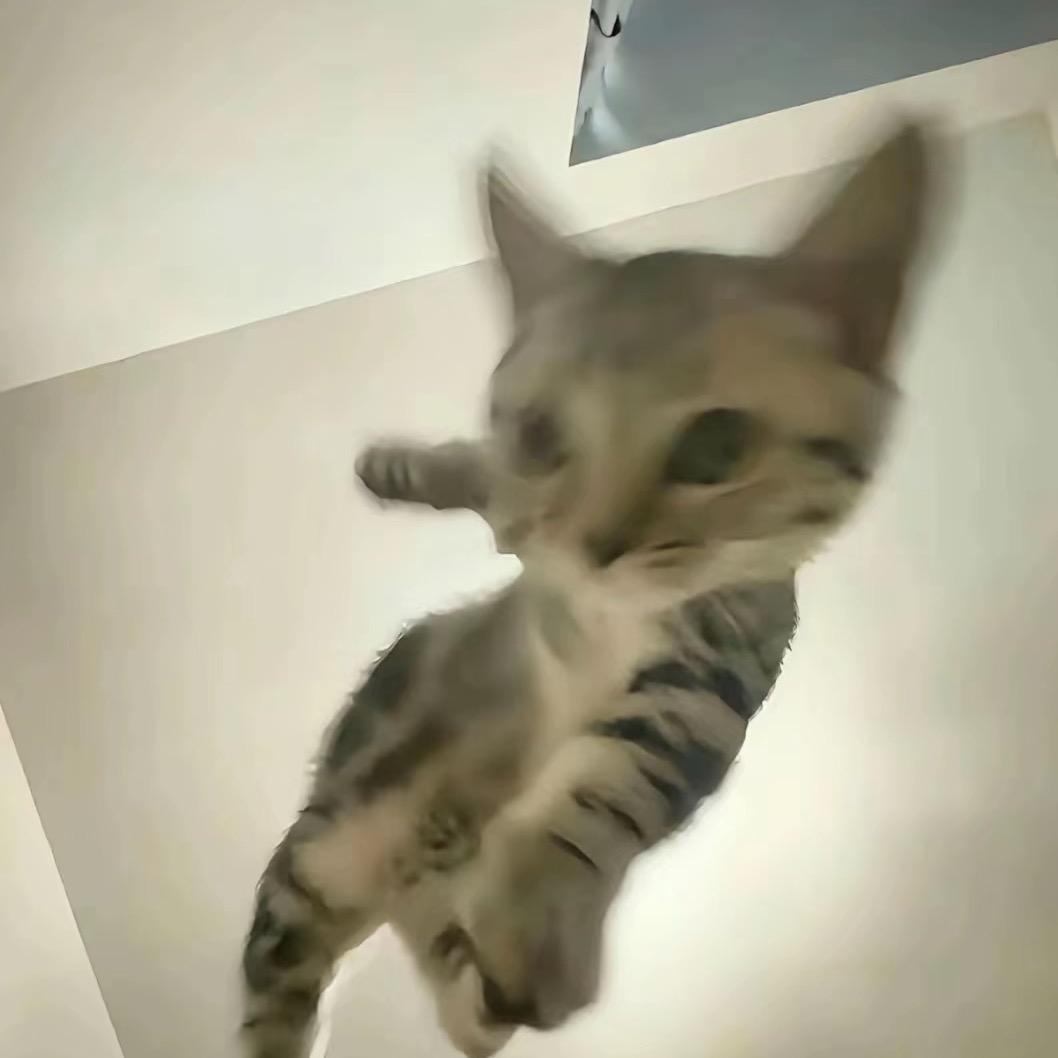 R⚡