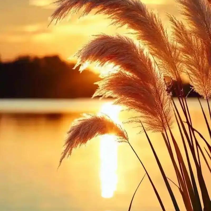 岁月如歌人生如画