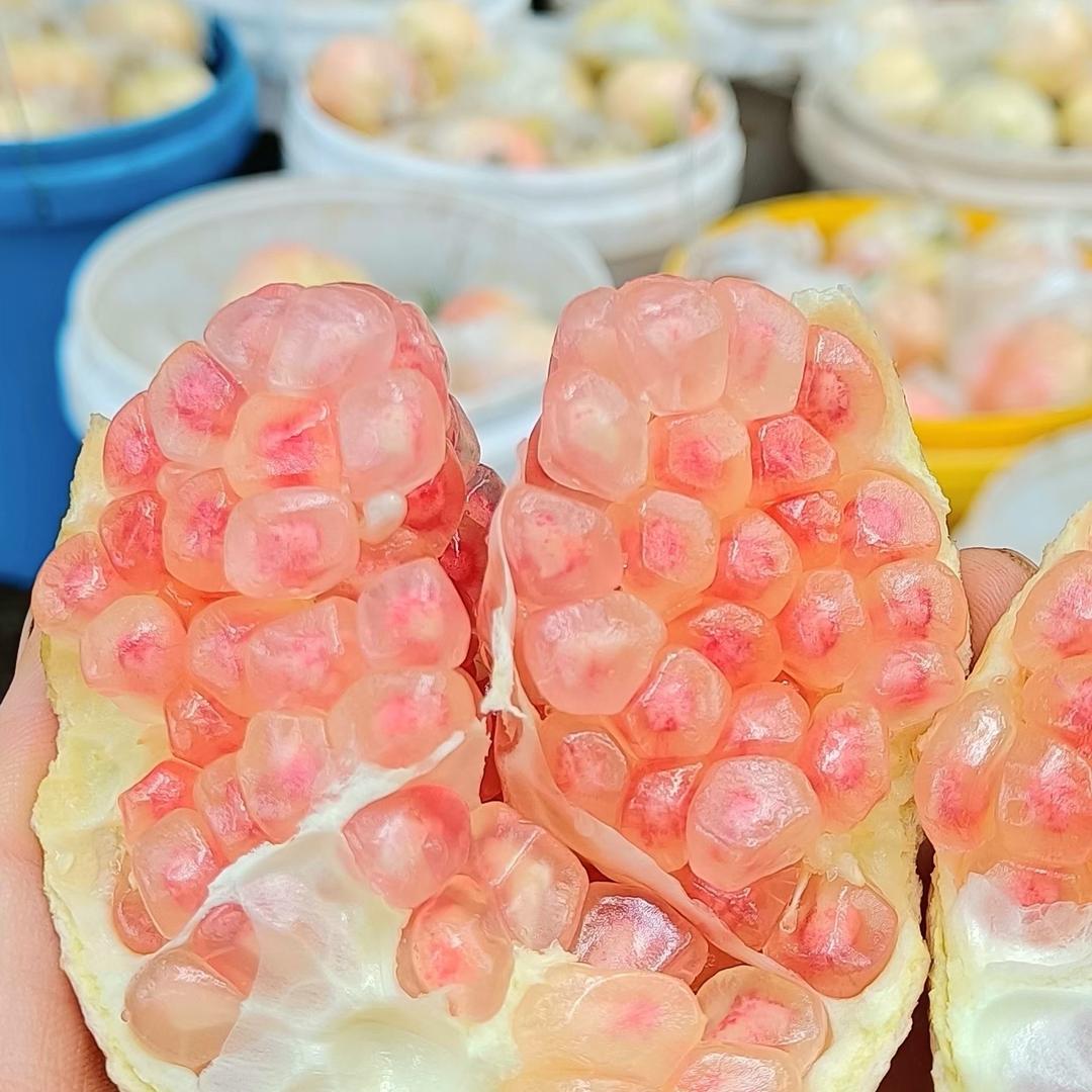 云南蒙自水果地方吃货