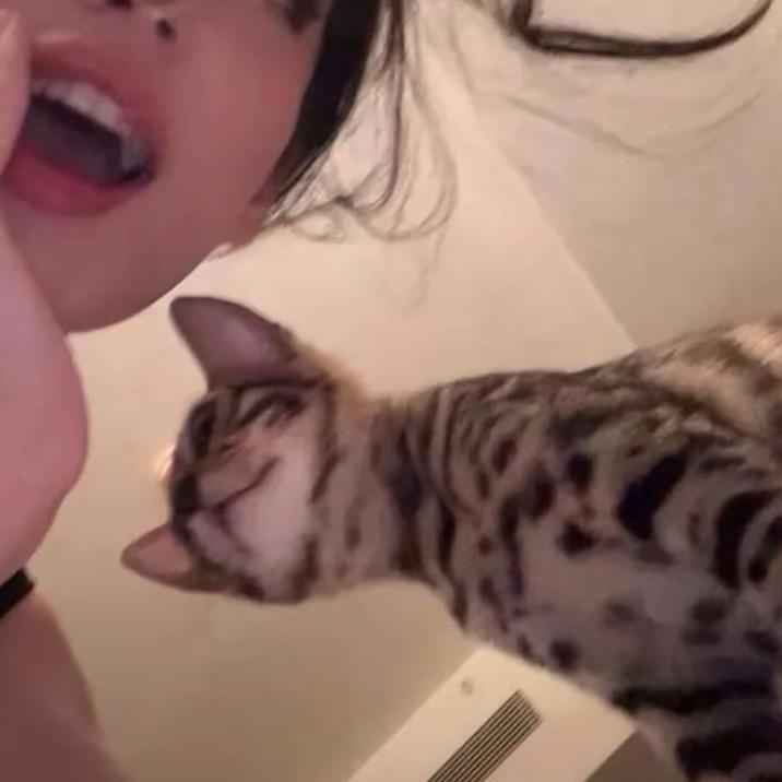 少烦