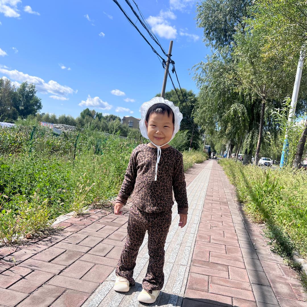 宝儿团团🐰