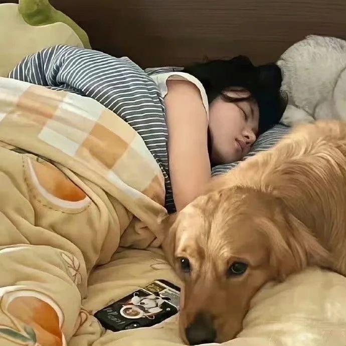 每天都很困🧚‍♀️