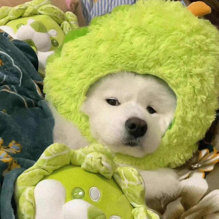 赛湖百鹿园体验馆