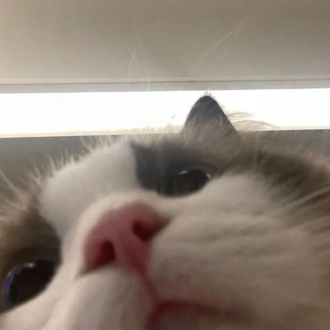 19-