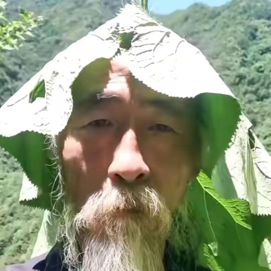 吉祥如意羊了个羊